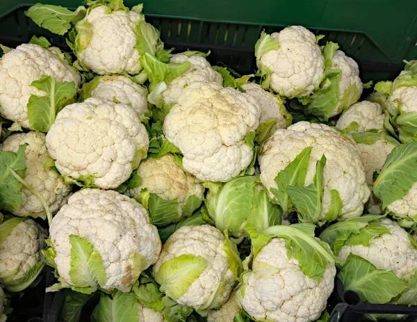 Viele weiße Blumenkohl zum Verkauf im Gemüseladen — Stockfoto