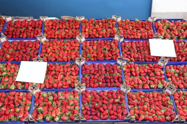 Kırmızı olgun çilek ile o kadar çok kutuları ile bakkal