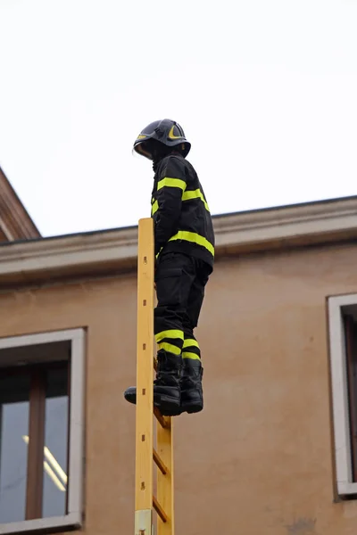 Bombero sobre una escalera de madera durante un ejercicio de rescate —  Fotos de Stock