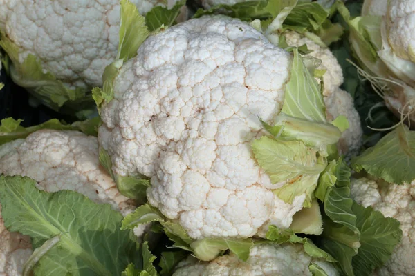 Biologischer weißer Blumenkohl im Winter im Lebensmittelladen — Stockfoto