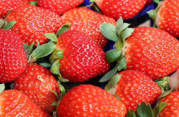 Fondo fresas rojas maduras para la venta en el mercado —  Fotos de Stock