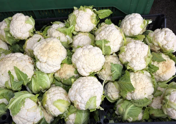 Cavolfiori bianchi in vendita in bancarella greengrocers — Foto Stock