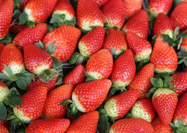 Fondo fresas rojas maduras para la venta en el mercado —  Fotos de Stock