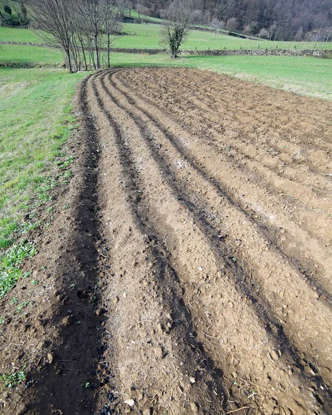 Vegetable garden plow  when it is sown in the spring from the fa — Stock Photo, Image