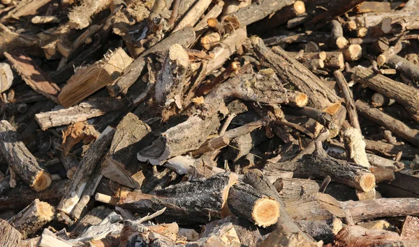 Holzschuppen mit vielen Holzstücken, die zum Abbrennen bereit sind, um Krieg zu verhindern — Stockfoto