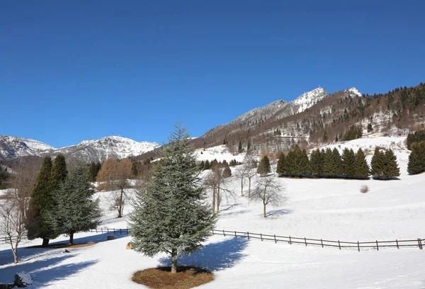 Paisaje con alta montaña llamado SPITZ de TONEZZA en el norte —  Fotos de Stock