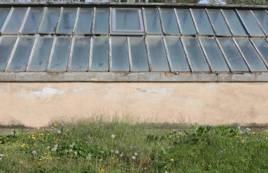 Sera Bahçe bitkileri ekimi için