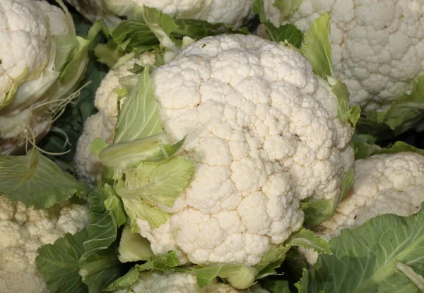 Weißer Blumenkohl am Stand des Biomarktes — Stockfoto