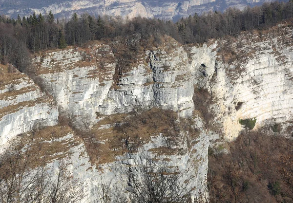 Klippe mit Fels und Wald in den Bergen im Winter — Stockfoto