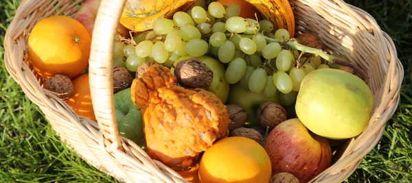 Fruits frais de saison dans le panier en osier sur la pelouse — Photo