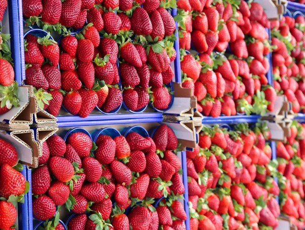 Morangos vermelhos para venda em uma loja de frutas e vegetais — Fotografia de Stock