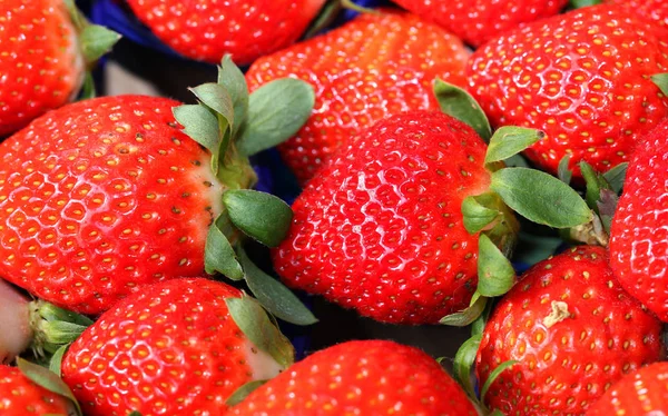 Mogna röda jordgubbar till salu på grönsakshandlare — Stockfoto