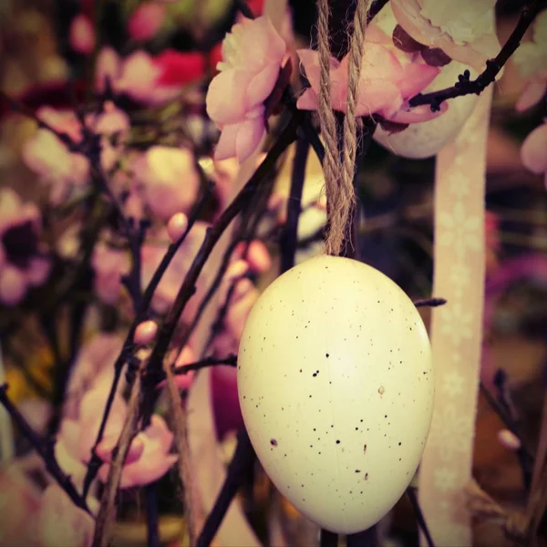 Bílá vejce visí z broskví větve vyzdobit dům duri — Stock fotografie