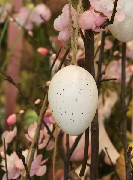 Pembe çiçekli bir dallara asılı Paskalya yortusu yumurta — Stok fotoğraf