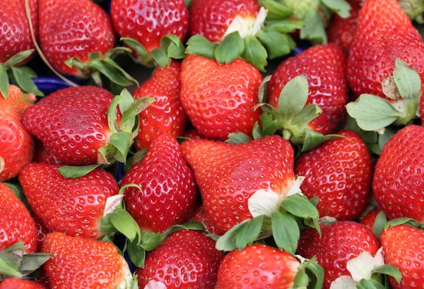 Fresas rojas maduras para la venta en el verdulero —  Fotos de Stock