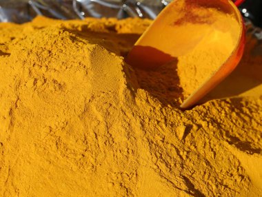 Zerdeçal toz köri arka plan ve bir Bauer