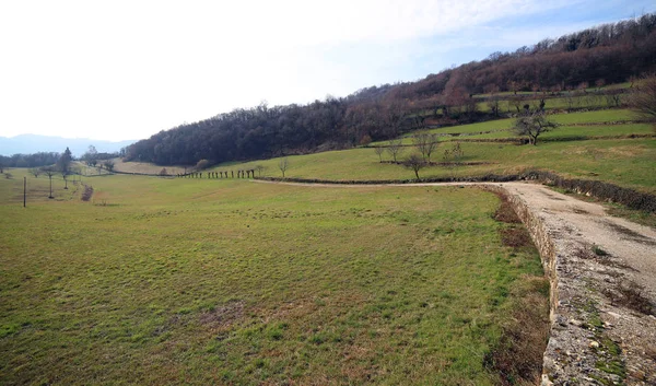 Sendero en las colinas y un gran prado verde en primavera fotografiado — Foto de Stock