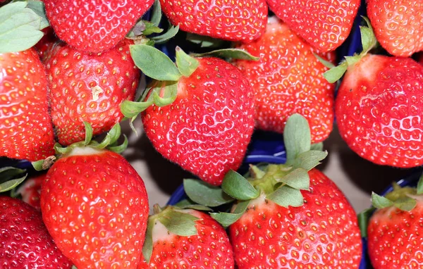 Fragole rosse mature in vendita al fruttivendolo — Foto Stock