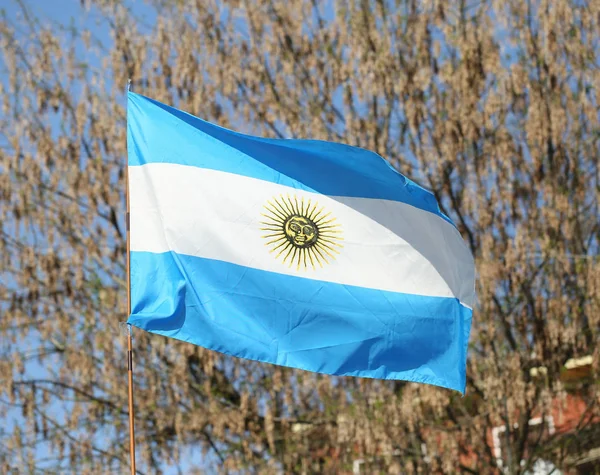 Flag of Argentina flying — Stock Photo, Image