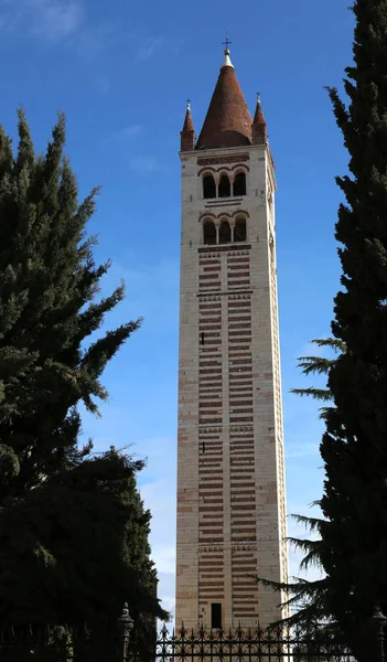 Bell tower av San Zeno basilika i Verona i norra Italien — Stockfoto