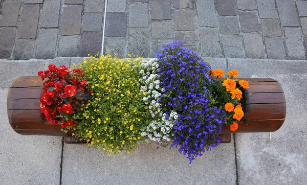 Vase of flowers made with a tree trunk in the mountain village