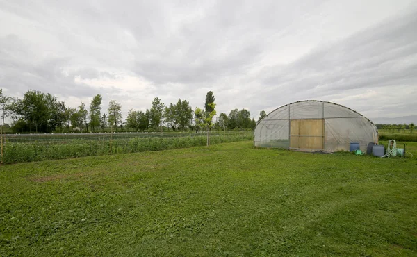 Stort växthus för odling av grönsaker — Stockfoto