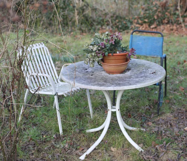 Oude tuin met stoelen — Stockfoto