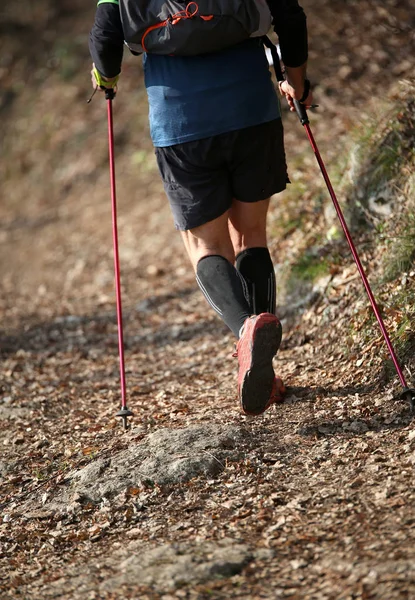 Adam autu dağ yolunda nordic yürüyüş sporuyguluyor — Stok fotoğraf