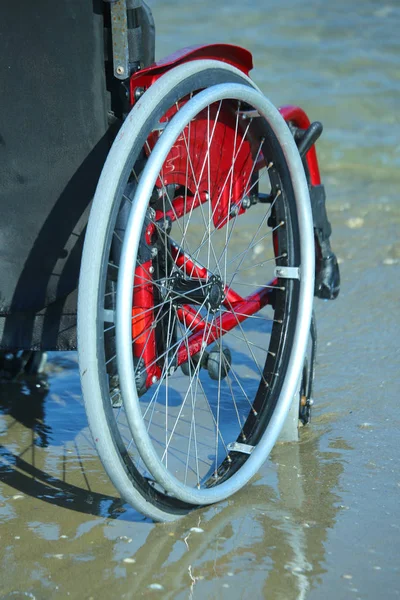 Roda de uma cadeira de rodas na costa junto ao mar — Fotografia de Stock