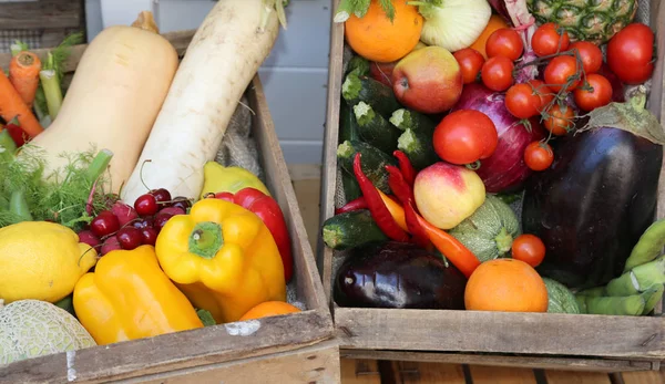 Lådor med färska grönsaker och frukter — Stockfoto