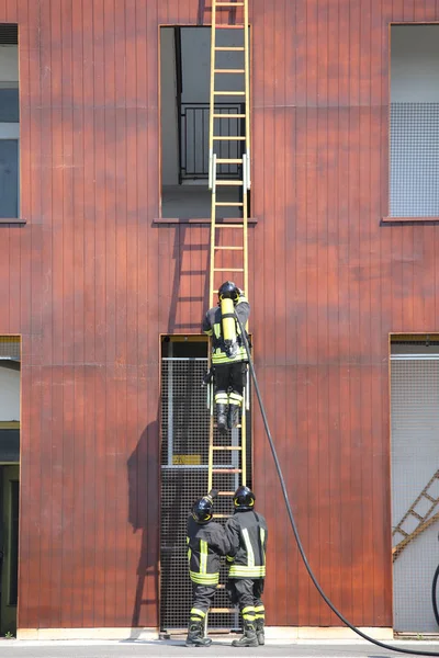 Bombeiros na escada de madeira durante o combate a incêndios no abeto — Fotografia de Stock