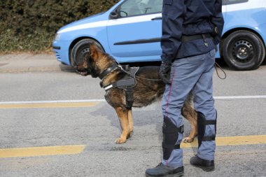 Patlayıcıları sırasında tanımlamak için polis köpek köpek birimi 