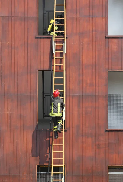 Bomberos en la escalera de madera durante la lucha contra incendios en el abeto —  Fotos de Stock