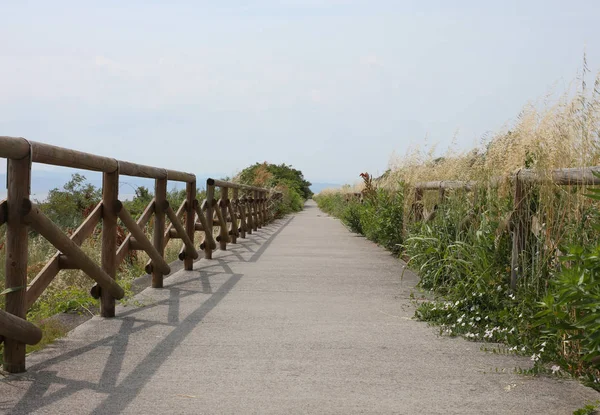 Cycle path along the protected nature reserve with the wooden fe — Stock Photo, Image