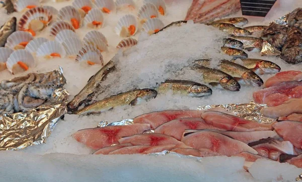 Raw fishes over the ice for sale — Stock Photo, Image