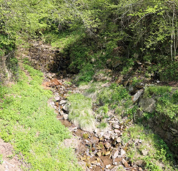 Petit ruisseau dans la montagne — Photo