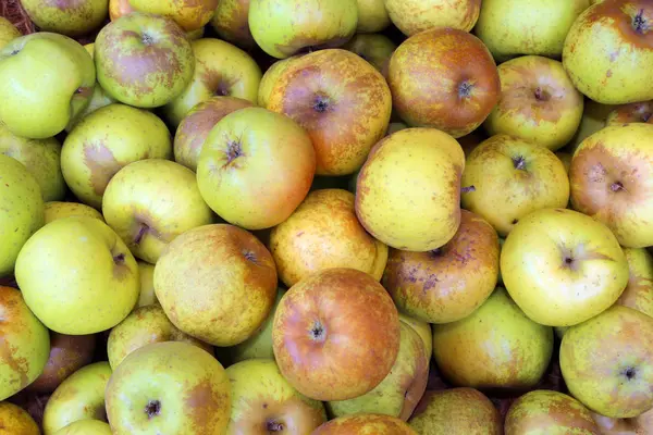 Achtergrond met groene biologische appels te koop vanaf de grove groenten — Stockfoto