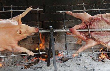 iki kare içinde kavrulmuş porks