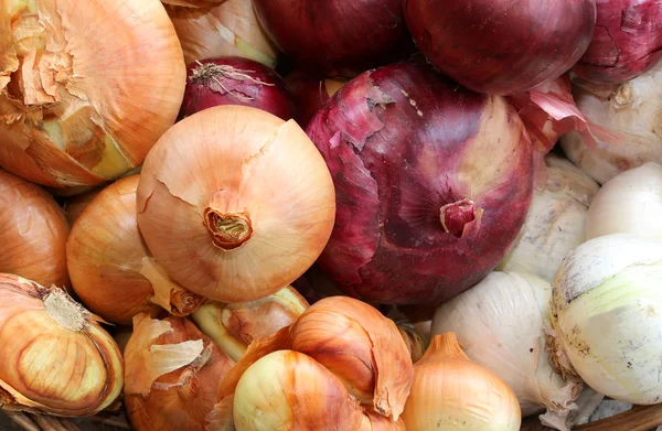 Bio rote und weiße Zwiebeln — Stockfoto