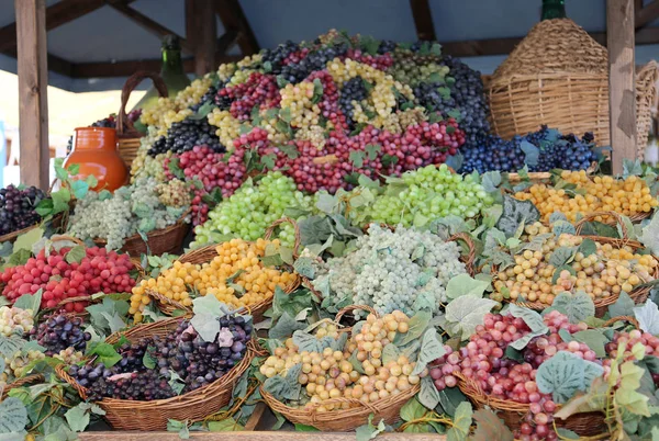 Baskets of ripe grapes and a carboy in fall — Stock Photo, Image