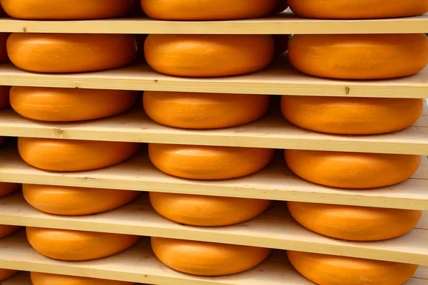 Orange cheeses on the shelf for sale — Stock Photo, Image