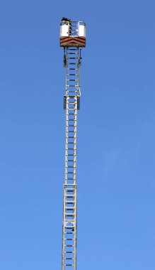 İtfaiyeci metalik sepet denetimi ile uzun merdiven üzerinde