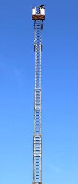 itfaiyeci metalik sepeti ile uzun merdiven üzerinde th denetler