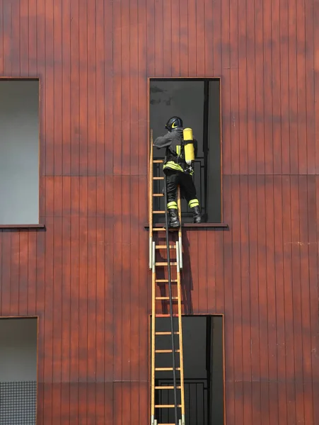 Firefighter on the wooden ladder enters the window — Stock Photo, Image