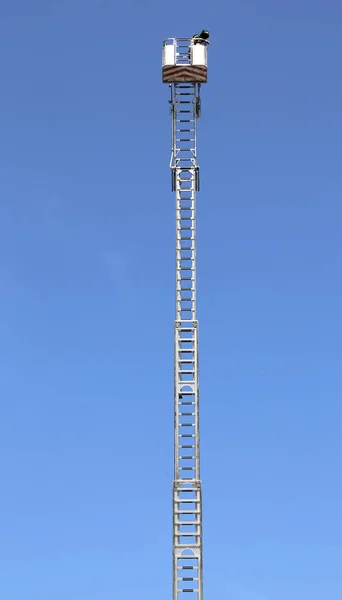 Длинная лестница с корзиной во время пожарных учений и бл. — стоковое фото