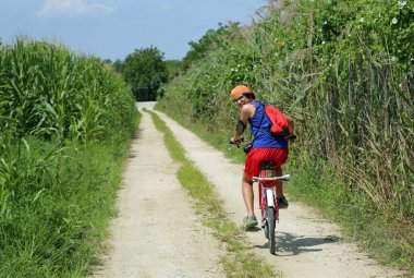 Genç bisikletçi pedal yaz yan Mısır alanları ile yolda