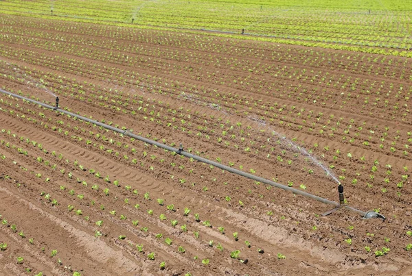 在对耕地的自动灌溉系统 — 图库照片