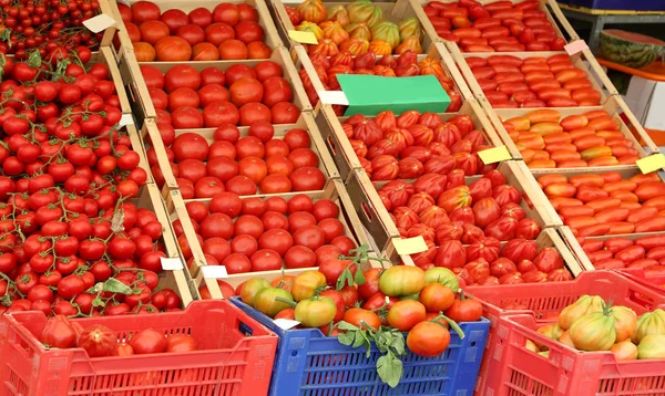Πολλοί ώριμη ντομάτα κόκκινο στα πλαίσια για την πώληση στο παντοπωλείο κατάστημα μου — Φωτογραφία Αρχείου