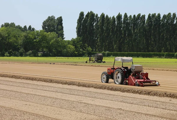 Field cultivated with lettuce and tractor during sowing of littl — Stock Photo, Image