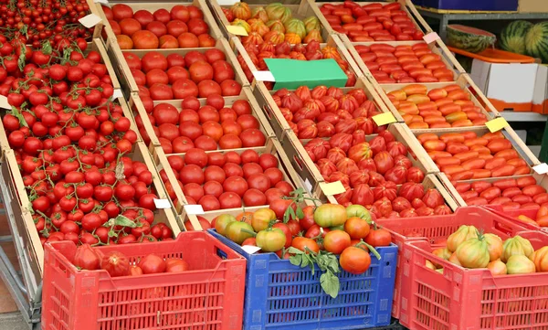 Багато стиглих помідорів у коробках у продажу — стокове фото